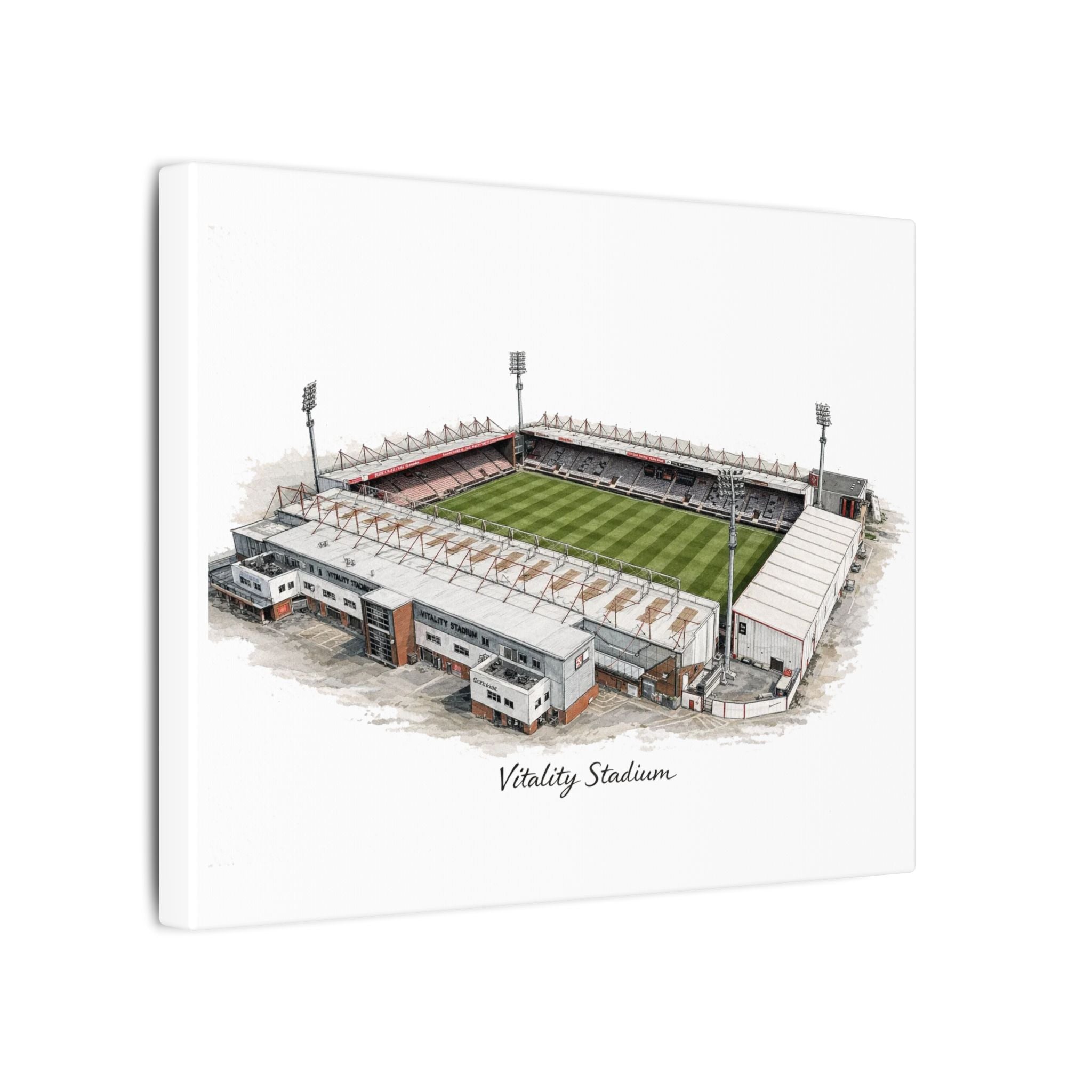 Vitality Stadium Canvas Print — Stretched Matte Wall Art